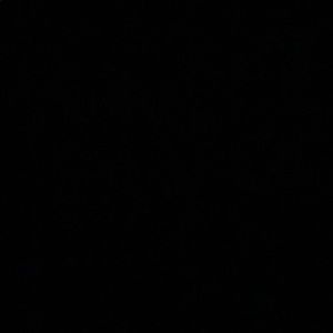 Meet your Posher, Albert